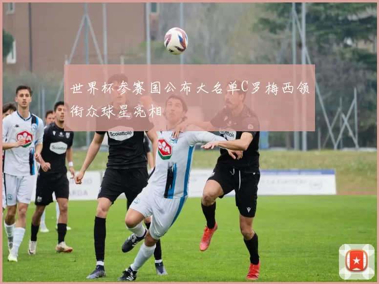 世界杯参赛国公布大名单C罗梅西领衔众球星亮相
