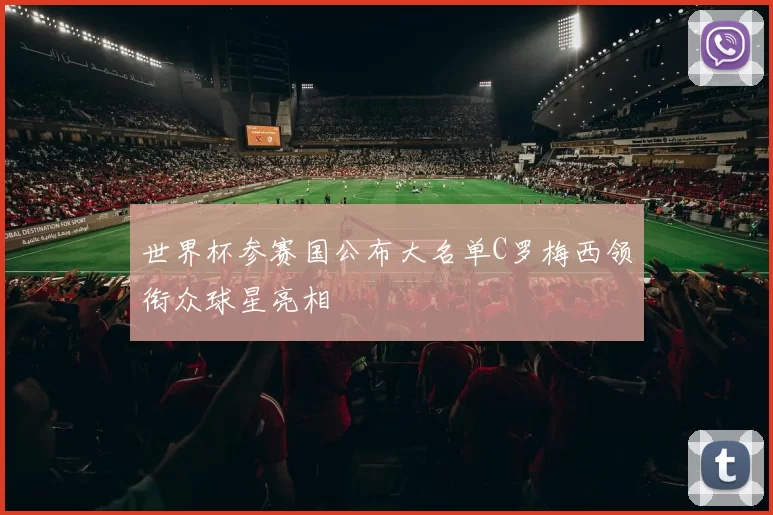 世界杯参赛国公布大名单C罗梅西领衔众球星亮相