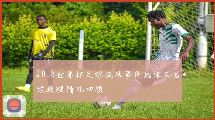 2018世界杯足球流氓事件始末及后续处理情况回顾