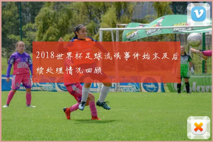 2018世界杯足球流氓事件始末及后续处理情况回顾