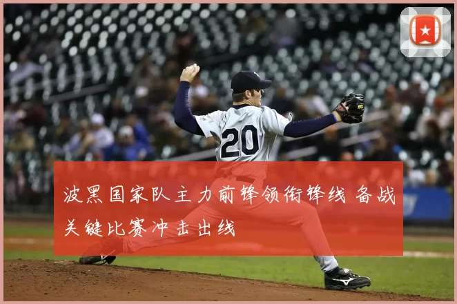 波黑国家队主力前锋领衔锋线 备战关键比赛冲击出线